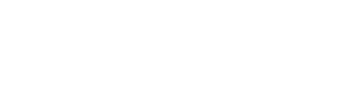 NSE